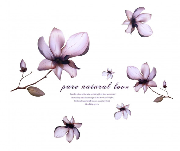 Naklejki na ścianę Kwiaty WS-0111