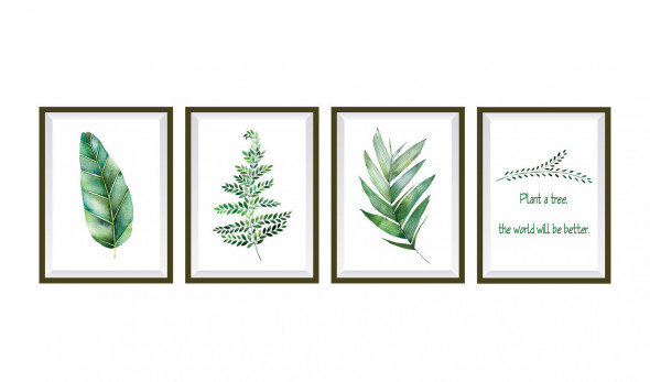 Naklejki na ścianę Obrazy Rośliny WS-0269