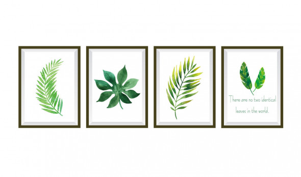 Naklejki na ścianę Obrazy Rośliny WS-0270