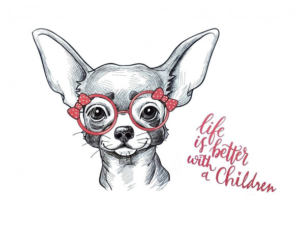 Naklejki na ścianę Pies Chihuahua WS-0311