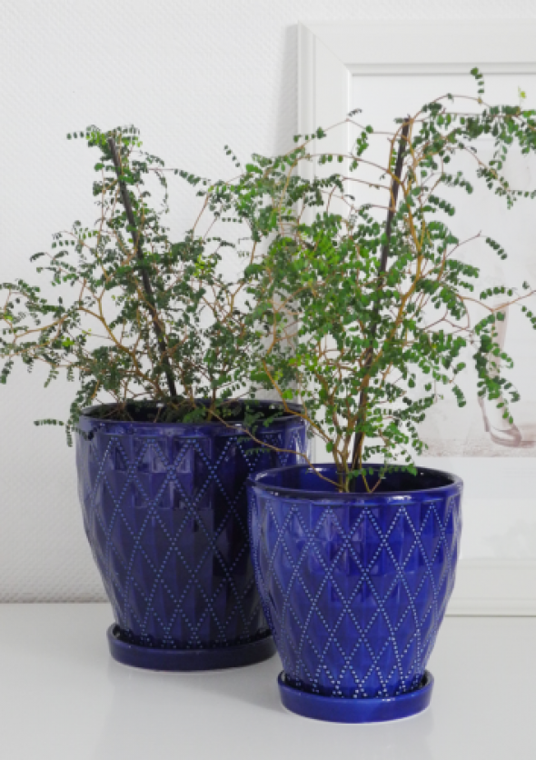 Ceramiczne osłonki na doniczki w kolorze niebieskim INDIGO