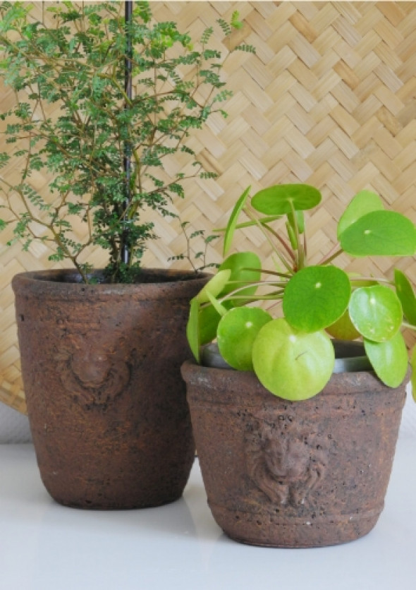 Osłonki ceramiczne Rusty (2 szt)