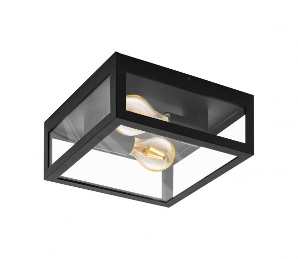 Eglo 99122 - Plafon łazienkowy AMEZOLA 2xE27/40W/230V