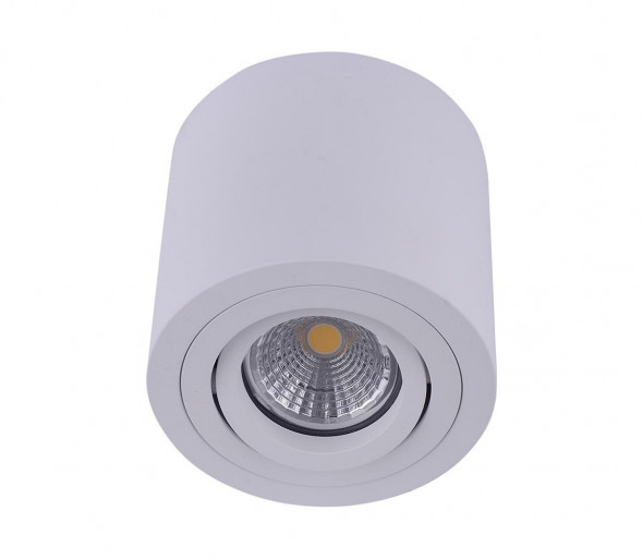 Emithor 48606 - Sufitowe oświetlenie punktowe SURFACE 1xGU10/50W/230V