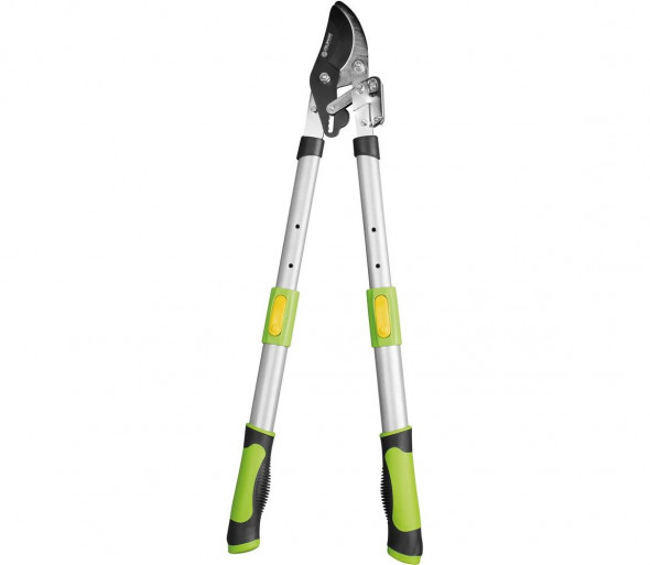Fieldmann - Teleskopowe nożyce ogrodowe