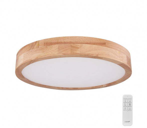 Globo 41745-24 - LED Plafon ściemnialny RAINER LED/24W/230V + ZS