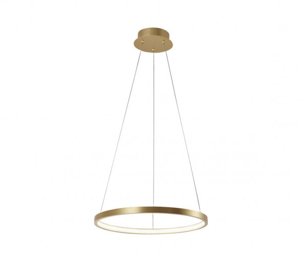 Leuchten Direkt 11522-12 - LED Żyrandol na lince CIRCLE LED/19W/230V