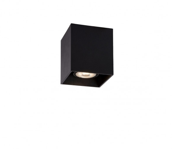 Lucide 09101/01/30 - Oświetlenie punktowe BODI 1xGU10/42W/230V