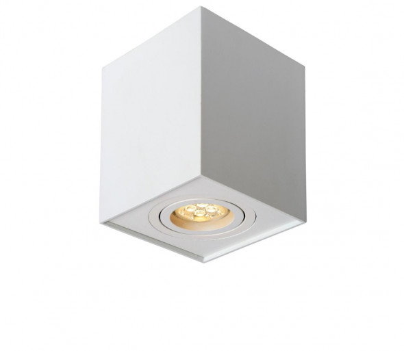 Lucide 22953/01/31 - Oświetlenie punktowe TUBE 1xGU10/42W/230V biały