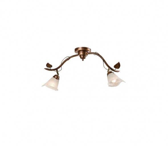 Oświetlenie punktowe BLUSZCZ 2xE14/40W/230V