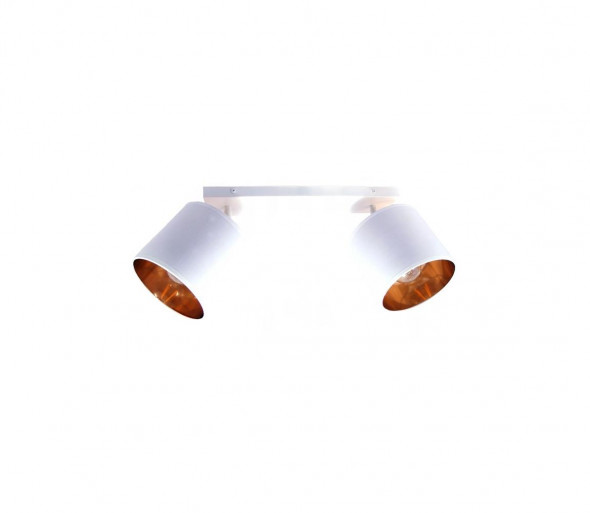 Oświetlenie punktowe SOFIA 2xE27/60W/230V białe