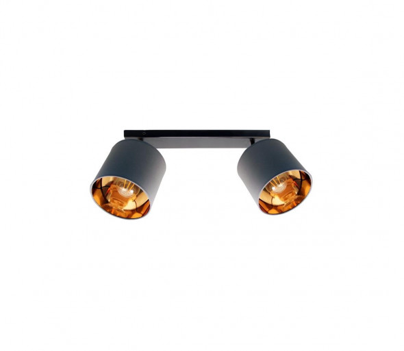 Oświetlenie punktowe SOFIA 2xE27/60W/230V szary