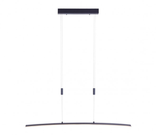 Paul Neuhaus 2530-13 - LED Ściemniany żyrandol na lince JANINA LED/27W/230V