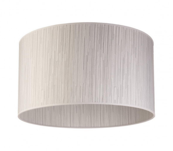 Plafon ESSEX 1xE27/40W/230V srebrny