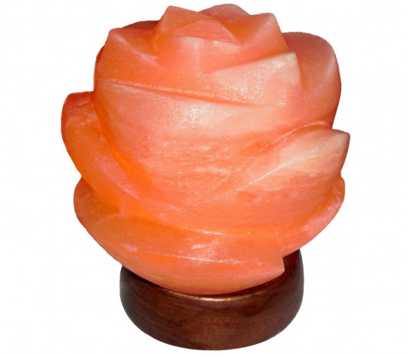 Rabalux 2676 - Lampa solna FLORES 1xE14/15W/230V