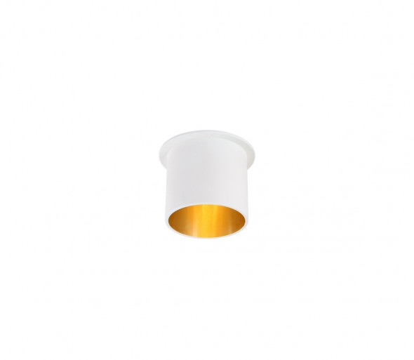 Ramka do oświetlenia wpuszczanego MOLO 1xGU10/GU5,3/MR16/50W/230V/12V biały/złoty