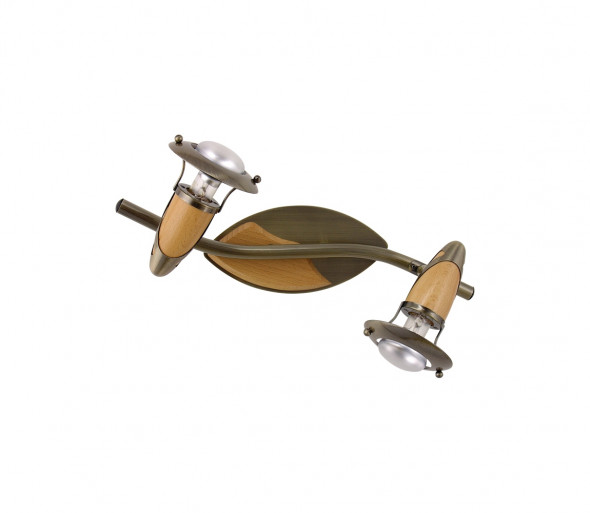 Reflektor punktowy ZEUS 2xE14/40W/230V