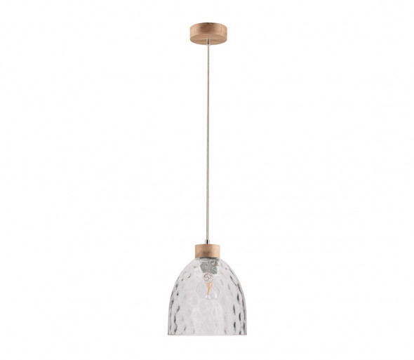 Spot-Light 1450174 - Żyrandol na lince ALESSANDRO 1xE27/60W/230V