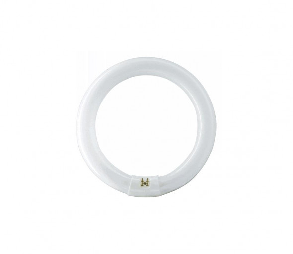 Świetlówka Philips MASTER G10q/32W/230V 4000K