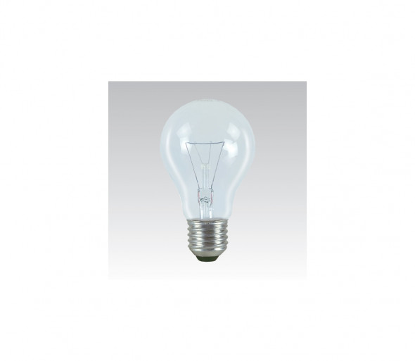 Żarówka przemysłowa E27/75W/24V