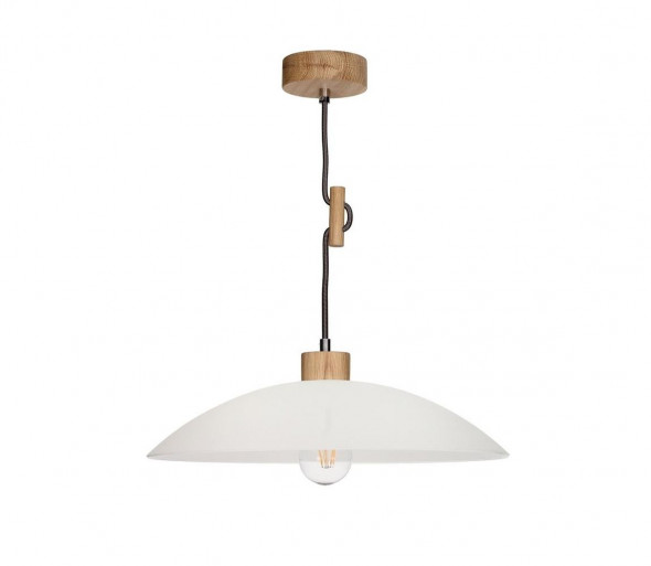 Żyrandol na lince JONA 1xE27/60W/230V