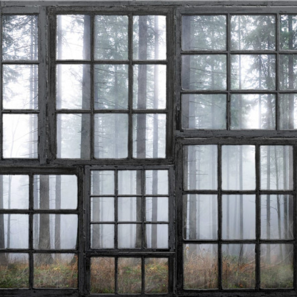 Fototapeta REBEL WALLS | Cabin