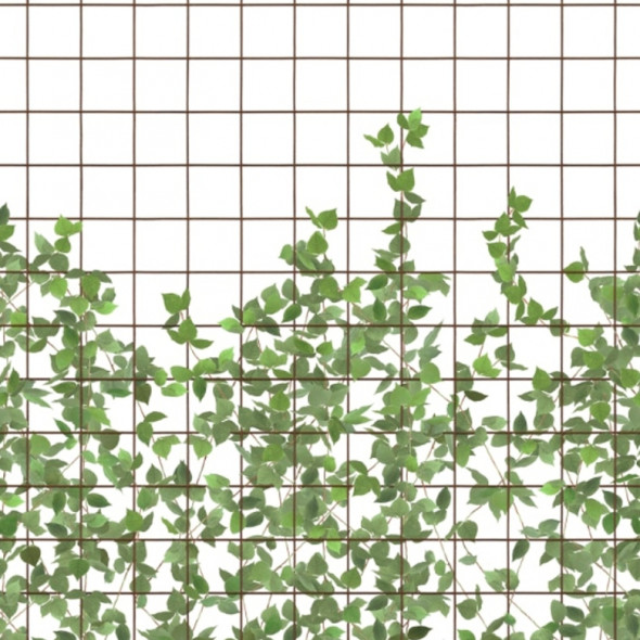 Fototapeta REBEL WALLS | Climbing Clorofyl