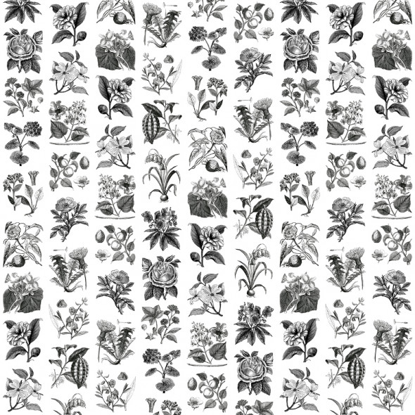 Fototapeta REBEL WALLS | Fruit & Flora