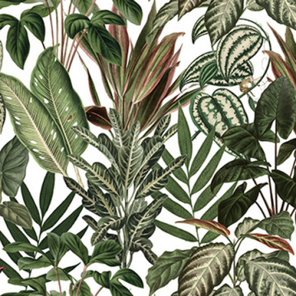 Fototapeta REBEL WALLS | Mischievous Monkeys