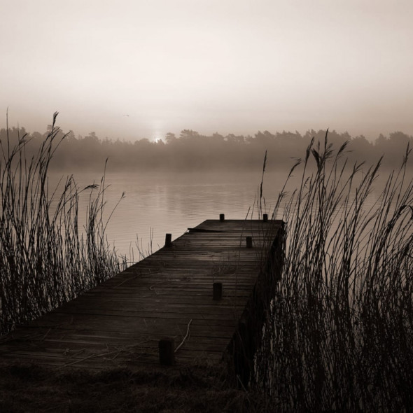 Fototapeta REBEL WALLS | Misty Lake
