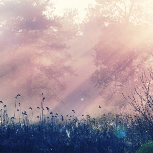 Fototapeta REBEL WALLS | Pink Dawn