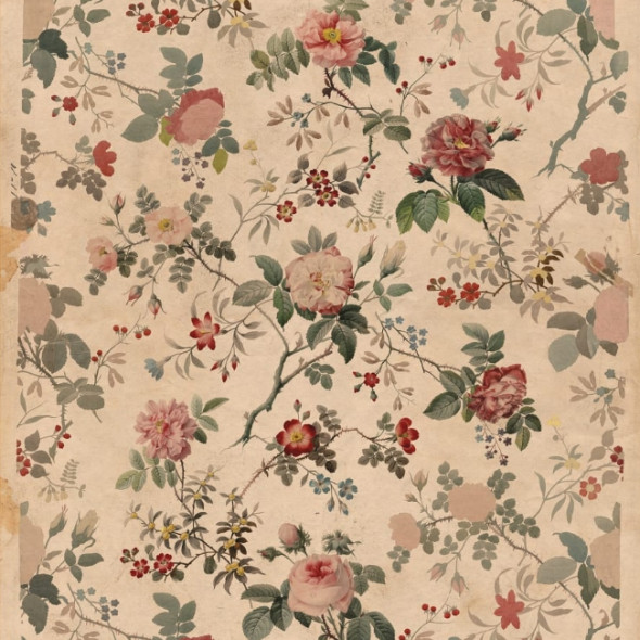 Fototapeta REBEL WALLS | Rosegarden