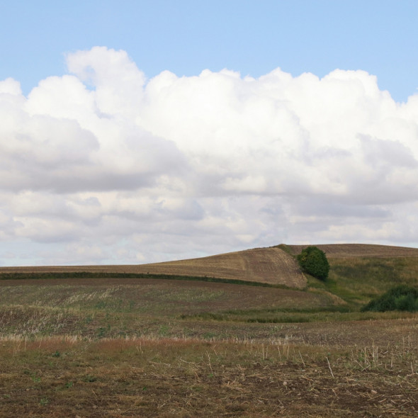 Fototapeta REBEL WALLS | SCANDINAVIA Cropland