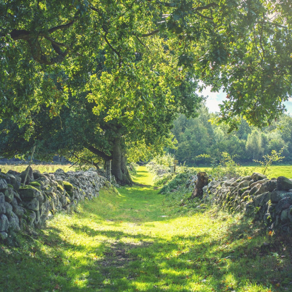 Fototapeta REBEL WALLS | SCANDINAVIA Early Summer