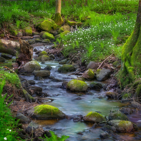 Fototapeta REBEL WALLS | SCANDINAVIA Stream