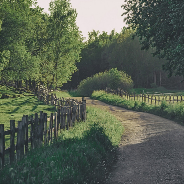 Fototapeta REBEL WALLS | SCANDINAVIA Wooden Fence