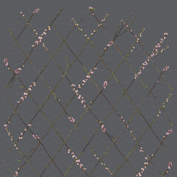 Fototapeta REBEL WALLS | Winding Spring, Black