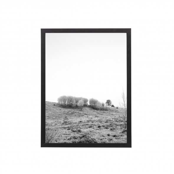 Obrazek w ramie NATURA / B&W (30x40) - Bloomingville