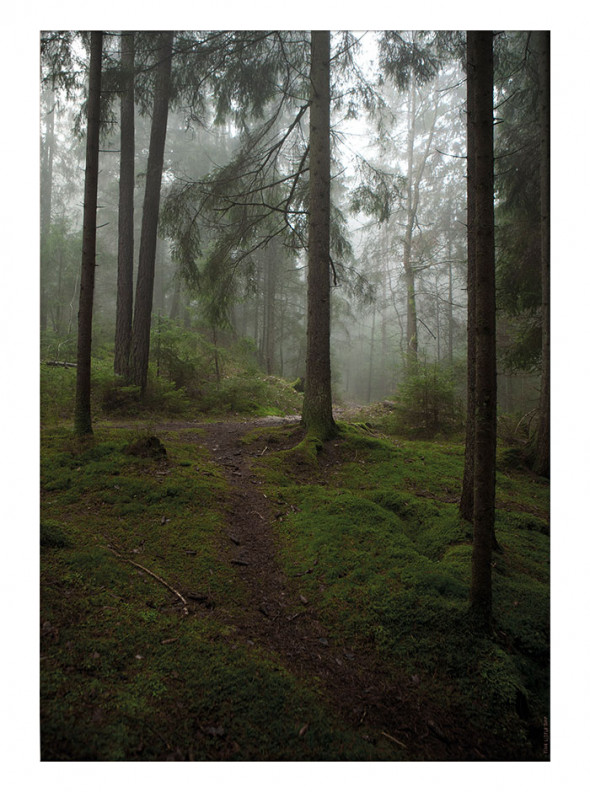 Plakat GLANTA - Fine Little Day