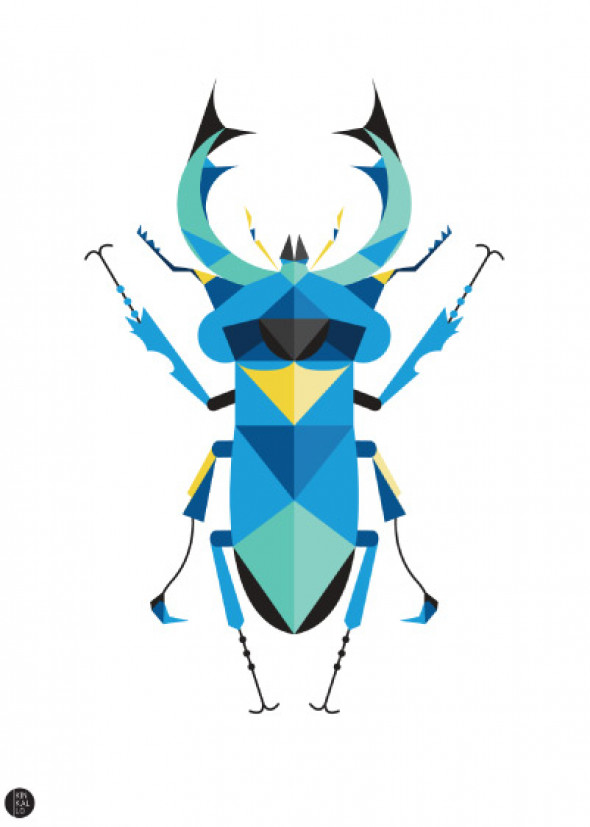 Plakat Jelonek Rogacz biały - Kinkallo