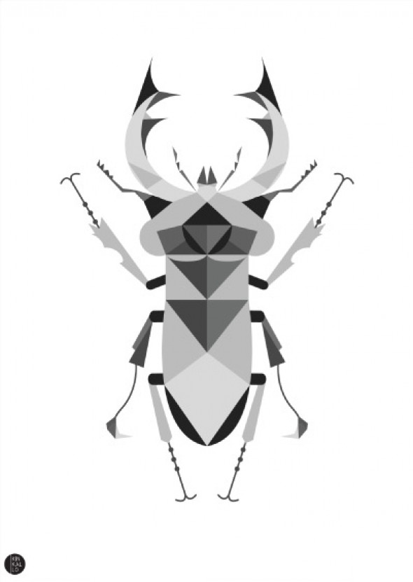 Plakat Jelonek Rogacz szary - Kinkallo