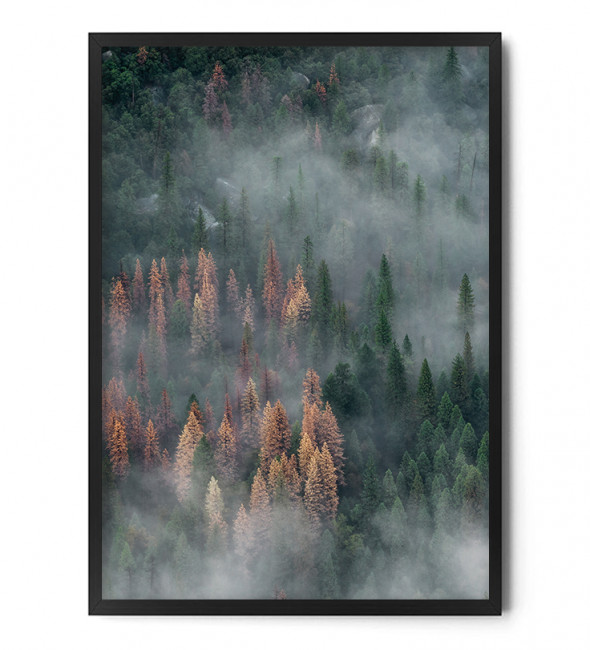 Plakat LAS WE MGLE cz.1 - FOX ART STUDIO 40 x 50 cm