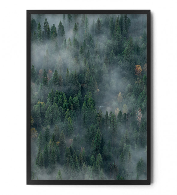 Plakat LAS WE MGLE cz.2 - FOX ART STUDIO A3 (29,7 cm x 42 cm)