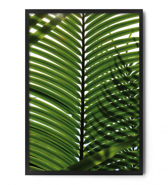 Plakat LIŚĆ PALMOWY no.1 - FOX ART STUDIO 50 x 70 cm