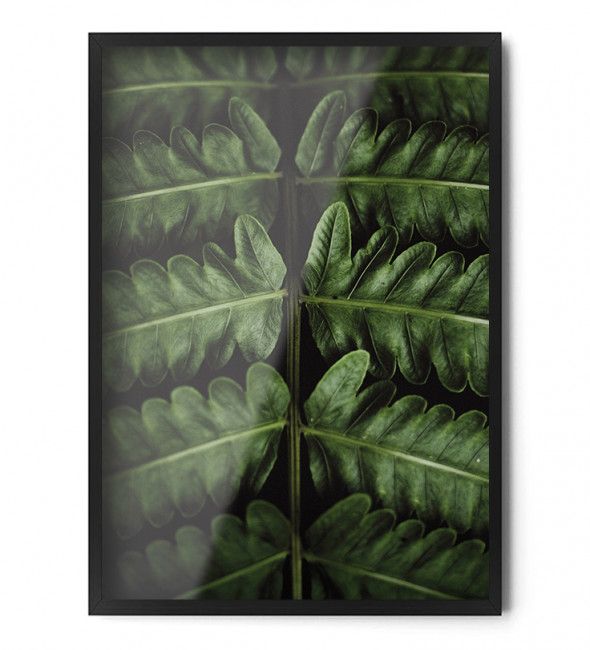 Plakat LIŚĆ PAPROCI - FOX ART STUDIO 50 x 70 cm