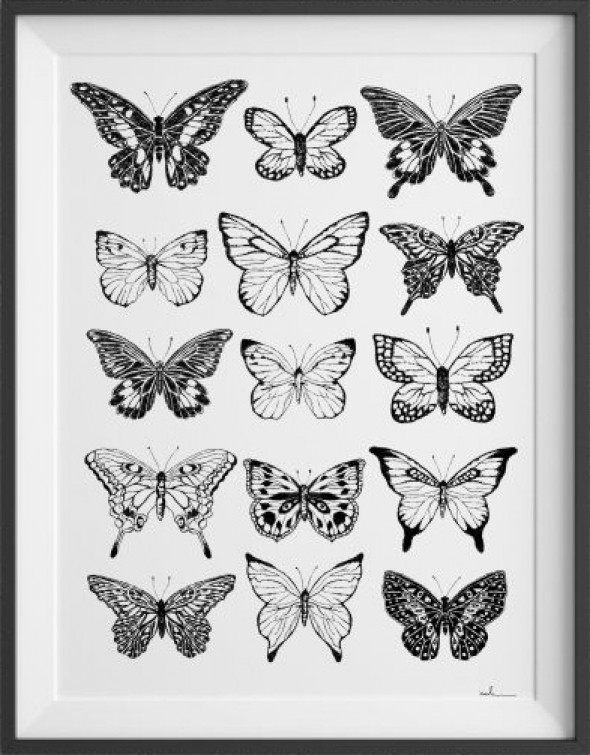 Plakat Motyle Nº1 - kreska 60 x 90 cm