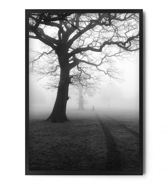 Plakat NOSTALGIA - FOX ART STUDIO 70 x 100 cm