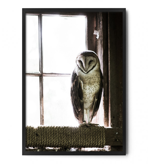 Plakat SOWA - FOX ART STUDIO A3 (29,7 cm x 42 cm)