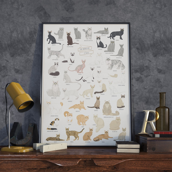Plakat THE WORLD OF CATS - A2 - Follygraph