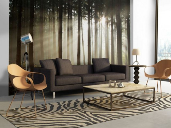 Fototapeta LAS IGLASTY - PORANNA MGŁA